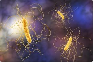 Infecţia cu Clostridium difficile – Simptome, complicatii, tratament