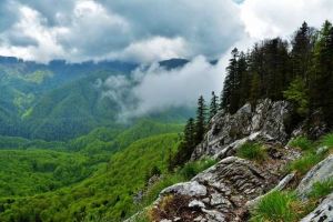 24 Mai: Ziua Europeană a Parcurilor Naţionale: Re-Conectarea la Natură în Parcul Naţional Apuseni