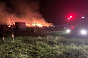 FOTO – Incendiu la o fermă din Sibiu – Zeci de animale salvate de pompieri