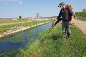 Luni începe cea de-a doua etapă de dezinsecţie şi dezinfecţie în Oradea