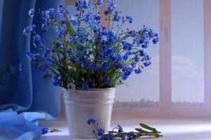 25 mai – Ziua internaţională a copiilor dispăruţi