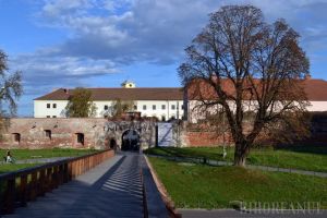 Unde ieşim săptămâna asta? Expoziţii la Muzeul Țării Crişurilor şi Muzeul oraşului Oradea