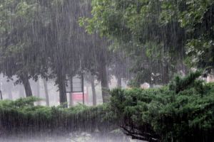 Ploi torenţiale, vijelii şi căderi de grindină, până miercuri seara!