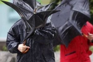 Vremea se înrăutăţeşte. Urmează mai bine de două zile cu ploi torenţiale, vânt, descărcări electrice şi vijelii