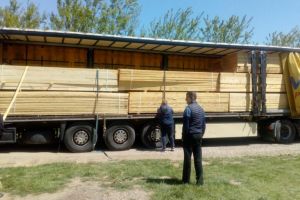 Amenzi mari şi aproape 300 de mc lemn confiscat, după controale în trafic şi descinderi la ...