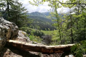 Reconectare la natură: Bihorenii pot descoperi, pe o hartă interactivă a Parcului Apuseni, locuri de relaxare, în mijlocul munţilor (FOTO / VIDEO)