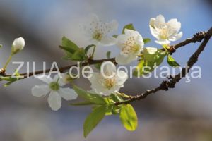 Cum va fi vremea in Dobrogea in urmatoarele doua saptamani. Ce spun meteorologii