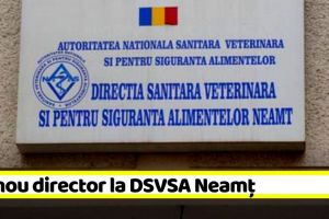 Schimbări la conducerea DSVSA Neamţ
