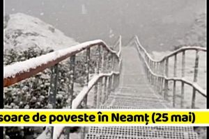 Ninsoare de poveste surprinsă la sfârşit de Mai, pe Ceahlău (VIDEO)