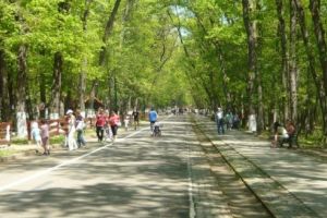 Zeci de chioşcuri şi tonete noi, în pregătire la Platoul Corneşti