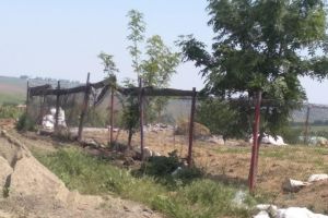 FOTO Deşeuri de origine animală arse şi aruncate în apă, la Zăiceşti. Sancţiuni aplicate de Garda de Mediu