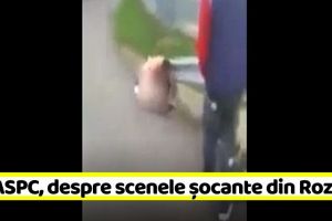 DGASPC Neamţ, reacţie la scenele şocante din Roznov