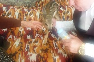 FOTO: Un pui de căprioară a ajuns în grija primarului din Fitioneşti. „Dacă l-am creşte acasă şi apoi i-am da drumul în pădure, ar fi o victimă sigură”