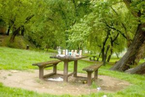 Ne enervează: „Relaxarea” de după starea de urgenţă umple oraşul de mizerii