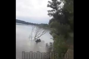 Masacru pe apele Dunarii / Pescuit “cu japca” la Marasu, cu efecte dezastruoase