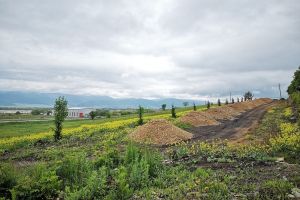 FOTO Culmea urbanismului la Cristian – Cartier „exclusivist” construit între o fermă şi o groapă de gunoi
