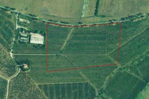 PROIECT. Zonă industrială nepoluantă într-o comună din judeţul Satu Mare
