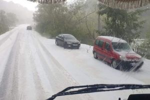 [VIDEO/FOTO] Ninge puternic în mai multe localităţi