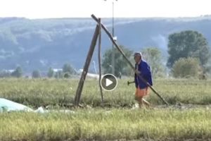 Fermierii păgubiţi de vremea rea speră la un ajutor din partea statului