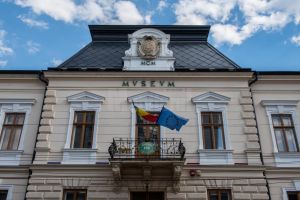 Peste 1 milion de vizitatori online la Muzeul Naţional al Bucovinei, în două luni de pandemie