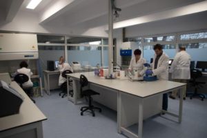 USV a câştigat competiţia de proiecte de cercetare a Ministerului Educaţiei, despre SARS-CoV-2