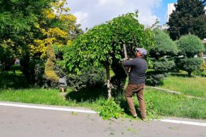 Primaria Constanta impreuna cu angajatii Polaris continua actiunile de curatenie in municipiu