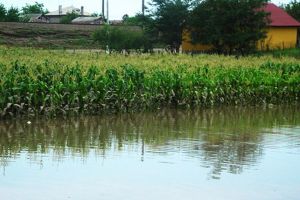Administratia Bazinala de Apa Dobrogea Litoral reactualizeaza studiul de fezabilitate pentru Bazinul Valea Seaca (document) 