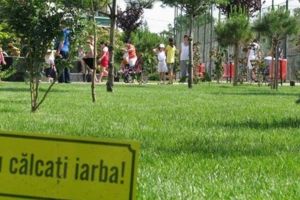 Două licitaţii noi pentru parcul de 4 hectare din Dâmboviţa. Prima avea „abateri grave” de la legislaţie