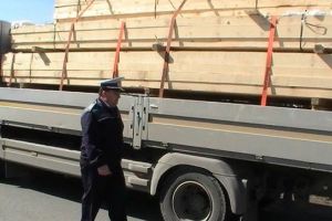 Acţiune pentru prevenirea accidentelor în Apuseni: Amenzi în valoare de peste 3.000 de lei şi cherestea transportată ilegal, confiscată de poliţişti