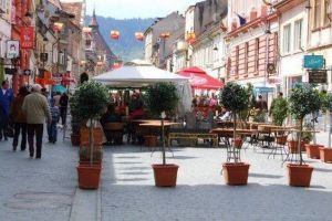 ANSVSA: ,,Nu va fi obligatorie măsurarea temperaturii pentru clienţii teraselor”