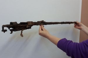 Un bărbat din vestul ţării e cercetat PENAL după ce şi-a cumpărat online O ARMĂ