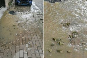 FOTO ȘTIREA TA| „Plouă” cu castraveţi muraţi în Partoş. Canalizare blocată timp de câteva ore