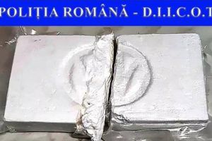 Doi oameni de afaceri din Botoşani, trimişi în judecată de procurorii DIICOT Iaşi pentru trafic internaţional de droguri! Alături de cei doi ajunge în faţa judecătorilor şi un angajat!