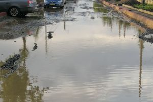 Lucian Borfotină cere conducerii Primăriei Botoşani să ia atitudine pentru finalizarea lucrărilor pe Drumul Tătarilor. „Vă rog să uitaţi un pic de certurile şi contrele politice şi să vă apucaţi de treabă”