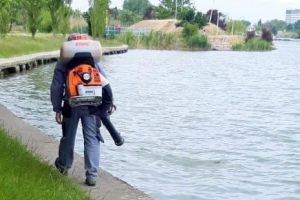   Actiuni de dezinsectie la Constanta. Echipele au actionat si pe malurile lacurilor Siutghiol si Tabacarie