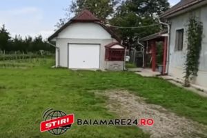 Înfiorător! O femeie din Maramureş şi-a ucis copilul de 10 ani. Fratele mai mic a sunat după ajutor