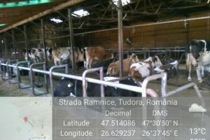 Fermier din judeţul Botoşani amendat cu 10.000 de lei de Garda de Mediu