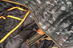 DOI TINERI AU FOST REŢINUŢI  PENTRU FURTUL UNEI ARME DE VÂNĂTOARE