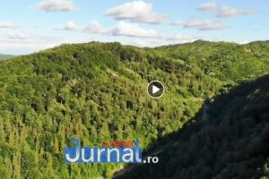 VIDEO: Imagini spectaculoase filmate cu o dronă în pădurile Ocolului Silvic Dumitreşti