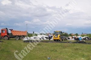 Munţi de deşeuri, depozitate de romi, în sudul judeţului! Descindere a Poliţiei şi Jandarmeriei!