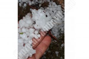 Grindina a lovit de două ori într-o săptămână la Răzvad