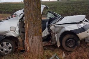 Accident rutier intre Tulcea si Agighiol. O victima de 16 ani, decedata. Șoferul, de 19 ani, preluat de ambulanta (galerie foto)