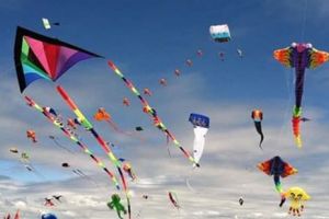 Kite challenge de Ziua Internaţională a Copilului: Să colorăm cerul cu zmee!