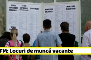 31 noi locuri de muncă în Neamţ. În total sunt 304 vacante la data de 30 mai