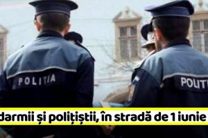 Jandarmii şi poliţiştii, în stradă de minivacanţa de 1 iunie