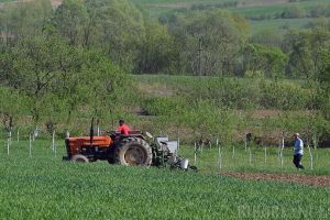 Termen limită: 15 iunie. APIA Bihor a preluat 82,3% din cererile de subvenţie