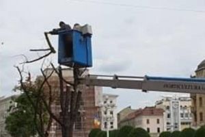 Fritz: În 2020 nu există nici măcar un peisagist în Direcţia de Mediu de la primărie. Vom reînfiinţa serviciul de grădinar şef