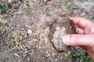 Grenadă din Al Doilea Război Mondial, găsită de o femeie în timp ce săpa în propria curte