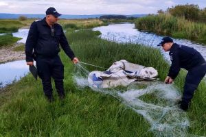Tânăr de 27 de ani prins de jandarmi în timp ce pescuia cu o plasă monofilament, pe râul Siret