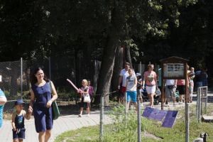 Surpriză pentru cei mici de Ziua Copilului: o vor putea sărbători la Grădina Zoologică Timişoara